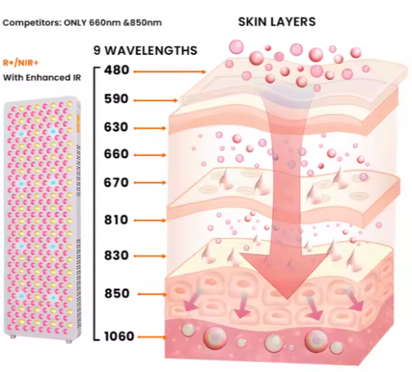 Diagram of skin layers with wavelength labels and a device on the left.
